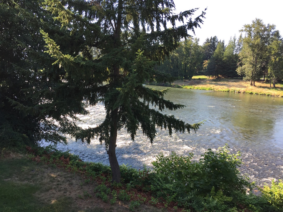 The Rogue River