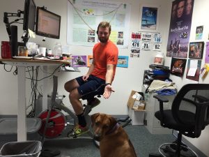 James & Bruce (Rhodesian Ridgeback), Sales & Sales Mascot.