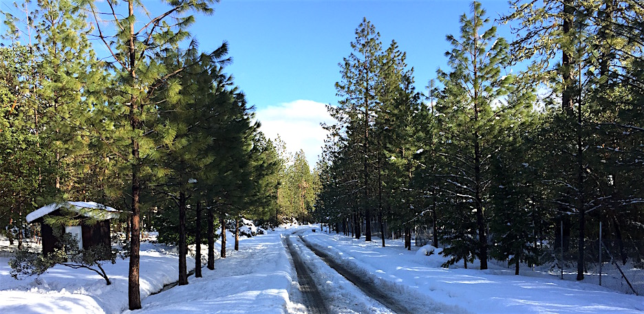 Our road; ice beneath the snow.