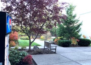 Courtyard Area.